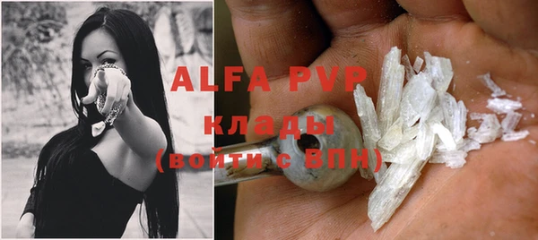 PSILOCYBIN Белокуриха