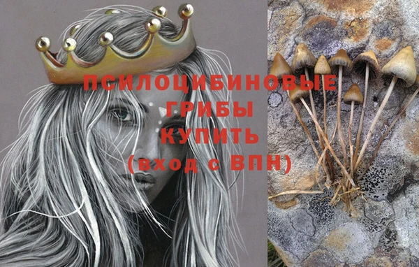 хмурый Белоозёрский