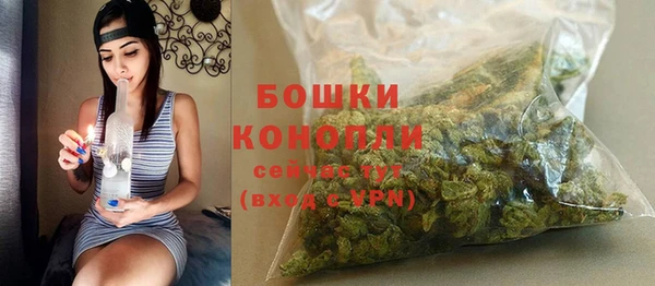 PSILOCYBIN Белокуриха
