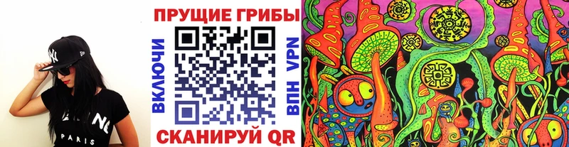 Купить  Добрянка  Галлюциногенные грибы MAGIC MUSHROOMS 